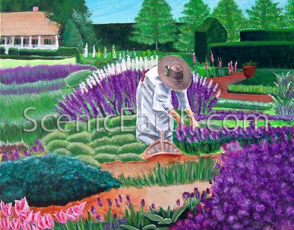 The Garden of Dreams - An original acrylic painting of a woman with a straw hat and white dress picking flowers to put in a basket while surrounded by a garden of lavender, flowers and grass